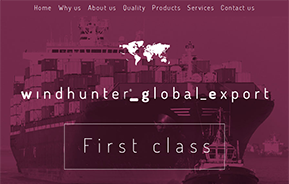 Strona internetowa whglobalexport.com